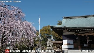 preview picture of video '広島の神社仏閣 観音神社 2015.03.26 Hiroshima shrines and temples,Kannon shrine,Hiroshima City,Japan'