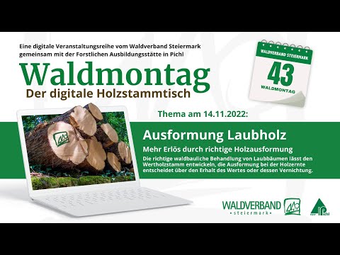 20221114_Waldmontag_Ausformung Laubholz