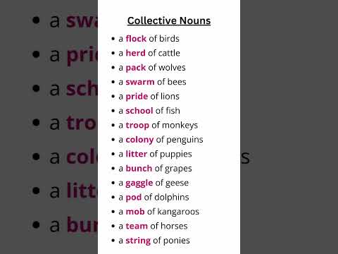 Collective Nouns List | Enhance Your English Vocabulary with These Fun Words! #collectivenoun
