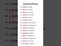 Collective Nouns List | Enhance Your English Vocabulary with These Fun Words! #collectivenoun