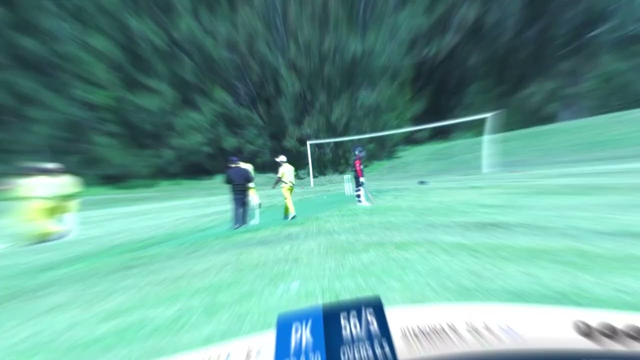 Fall of wickets Avaani Cricket Club vs Punjab Kings