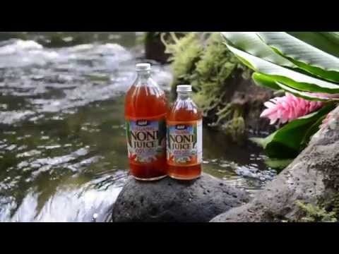 download lagu mp3 mp4 Organic Hawaiian Noni Juice, download lagu Organic Hawaiian Noni Juice gratis, unduh video klip Organic Hawaiian Noni Juice
