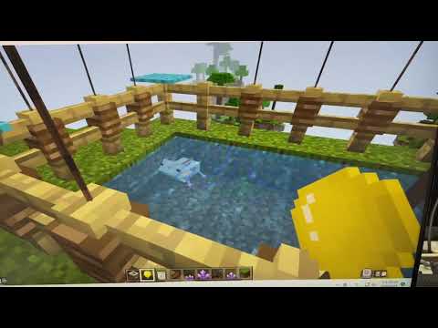 鳳鳴國小 麥塊SDGs聯合國永續發展目標 風O蕾 陳O如-麥塊SDGs程式競賽-111學年第二學期