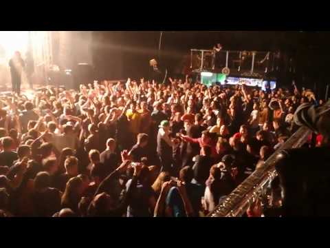 Ill nino epidemia torrent download free Ill nino epidemia torrent download free