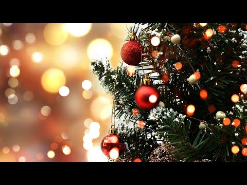 Shine On Christmas Star - Made Of Snow feat. Sam Shore I Christmas Song