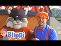 Learning Sports For Kids With Blippi Educational Videos For Kids