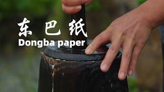 东巴纸 | Naxi Dongba handmade paper#countryside #production #中国传统技艺 #china