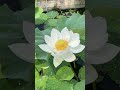 channel