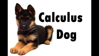 1. MATH 1241  M1.0 Algebra & Trig Review - Before Class Video (Part I)