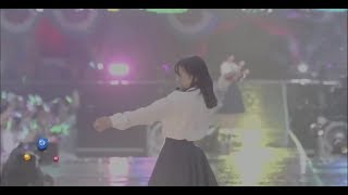欅共和国2019