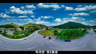 속리산 말티재와 정2품송