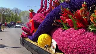 The Flower Parade Chinese Dragon Float