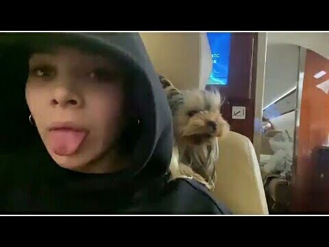 Hailee steinfeld with her dog on airplane #132