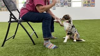 Teaching Shake or Wave