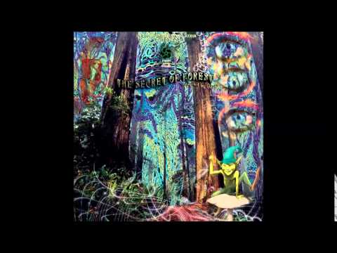 08 - Psytuga - Re Evolution (156BPM)