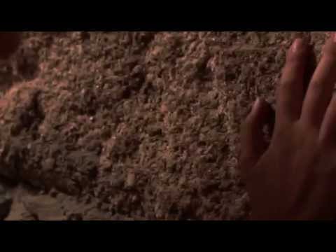 BIRIBIRLOCKE - Forasteira Dor