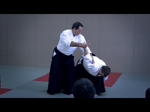 Aikido: Christian Tissier Paris Dec 2014