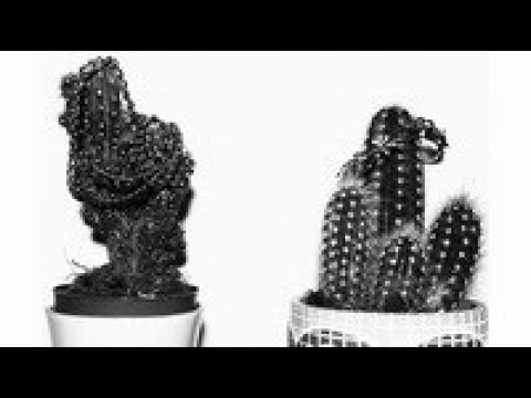 Paraf - Kaktus (Official Video)