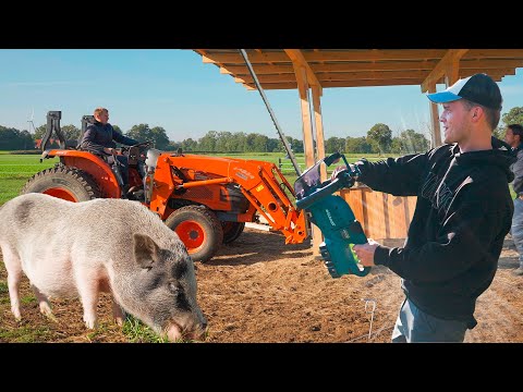 Wir müssen unsere WEIDEN UMBAUEN!