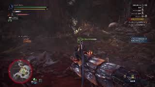 モンハンワールドアイスボーンです新種探索配信by PS5