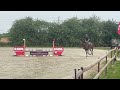 Splendide jument de 6 ans, sBs, +-1m62