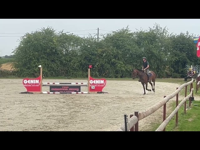Splendide jument de 6 ans, sBs, +-1m62