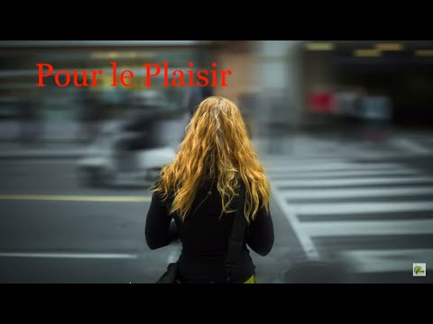 Pour le plaisir - Herbert léonard  (Paroles)