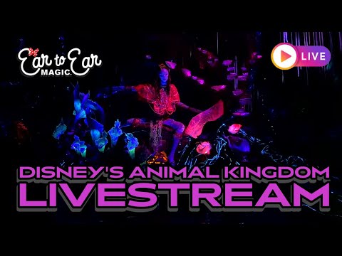 🔴 LIVE - Disney Animal Kingdom Theme Park -  Live Stream 03.06.2026