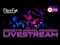 LIVE Disney Animal Kingdom Theme Park Live Stream 03 06 2026