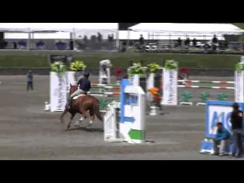 Video of Royal Flush ridden by Peter Wylde from ShowNet!