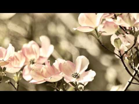 Brian Buckley Band - I am Human [lyrics]