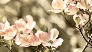 Brian Buckley Band - I am Human [lyrics]