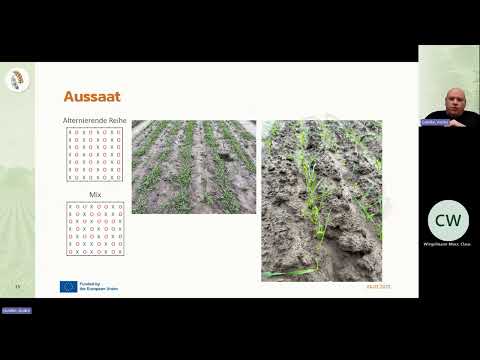 Anbau von Getreide und grobkörnigen Leguminosen im Gemenge – Möglichkeit für konventionellen Anbau?