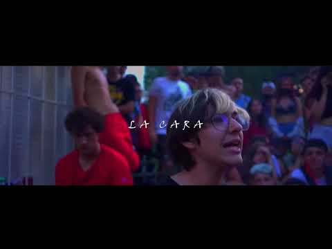 CTZ PERROS DE LA CALLE CONTRA MP