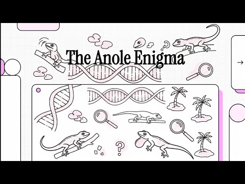The Anole Enigma: How Caribbean Lizards Solved a Classic Evolutionary Puzzle (Convergent Evolution)