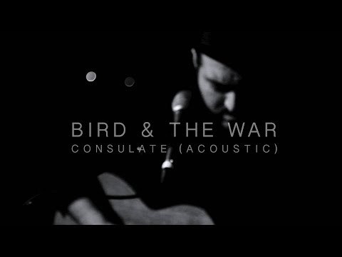 BIRD & THE WAR - CONSULATE (ACOUSTIC)