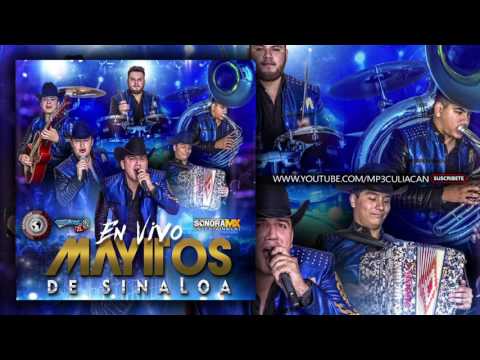 Los Mayitos De Sinaloa - Guerillo Montana (En Vivo 2016)