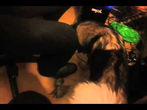 Duck Sauce - Big Bad Wolf (Dada Life Remix) PREVIEW