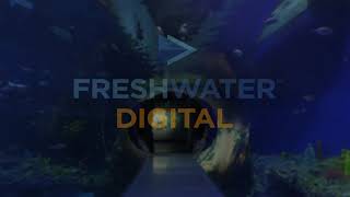 Freshwater Digital - Video - 3