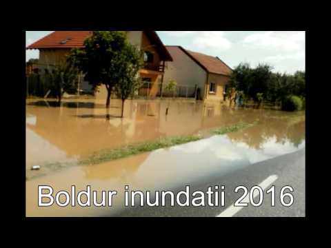 Boldur inundatii 2016