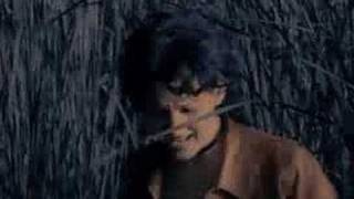 Lucilectric - bye-bye