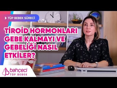 Tiroid Hormonları Gebe Kalmayı ve Gebeliği Nasıl Etkiler? –  Prof. Dr. Berfu Demir