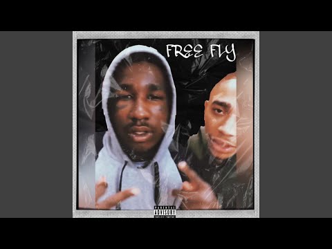 Free Fly