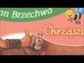 CHRZĄSZCZ Jan Brzechwa 