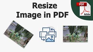 How to resize an image in a PDF file using adobe acrobat pro dc