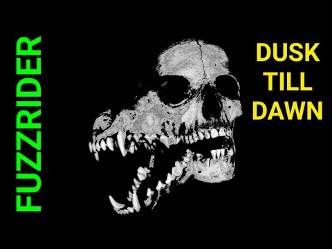 FUZZRIDER - Dusk Till Dawn