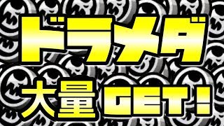 【城ドラ#317】ドラゴンメダルの貯め方、増やし方。初心者向け【なおとさん | 城とドラゴン実況】
