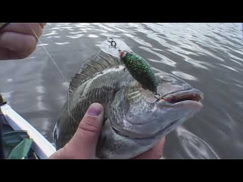 Swan River Fishing , Fishing WA Series 3 Ep 10 Part 1