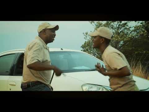 VIGII   BEKE LE BEKE