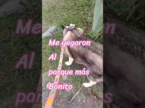de visita al parque de Boquete #parque #chiriquí #boquete